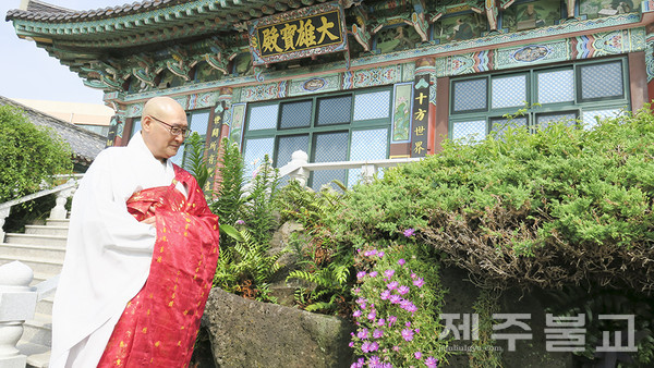 해운사 주지 탄해 성율 스님이 대웅전 앞에 서 있다.